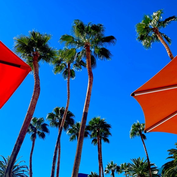 85% of textiles = 92 millions TONS a YEAR = LANDFILL. Let's Change That! - Picture 2 of 12